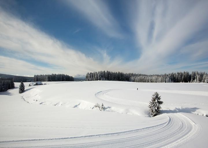 Gasthaus Zum Hirschen